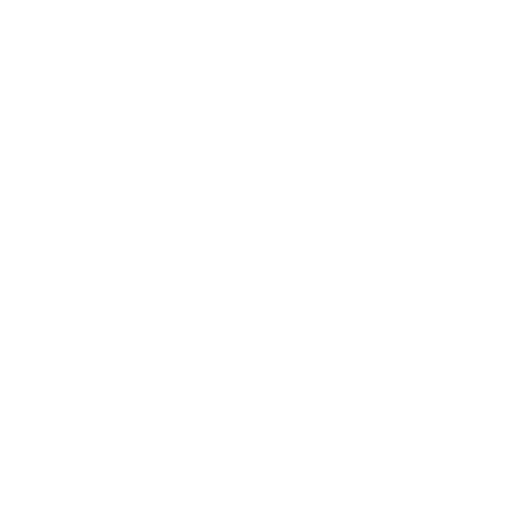 Leo França